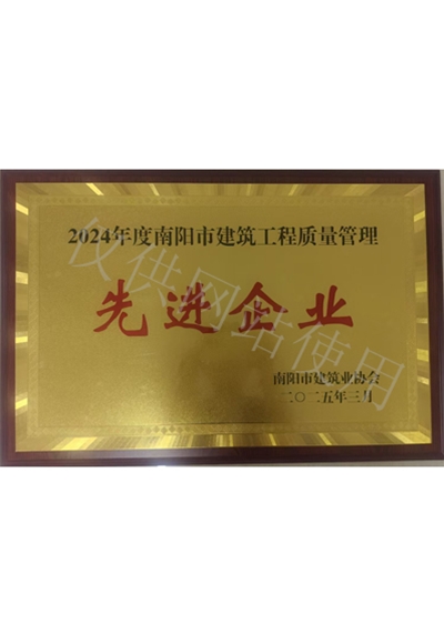 2025年度先进企业